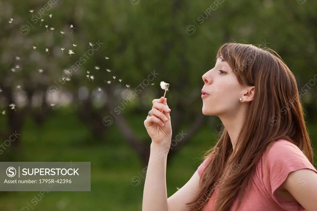 Young woman blowing Dandelion in orchard