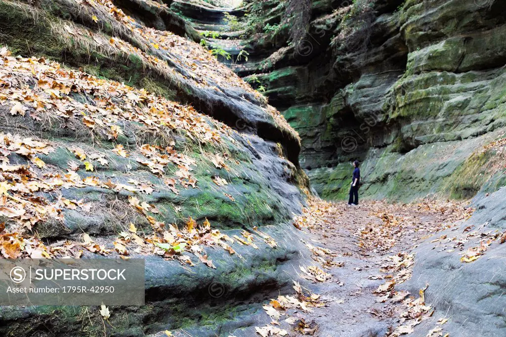 USA, Illinois, Starved Rock State Park, Woman standing in canyon