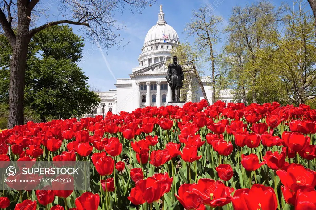 USA, Wisconsin, Madison, State Capitol Building, red tulips in foreground