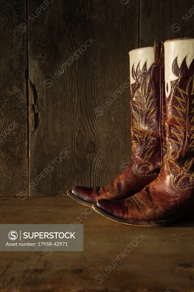 Pair of cowboy shoes
