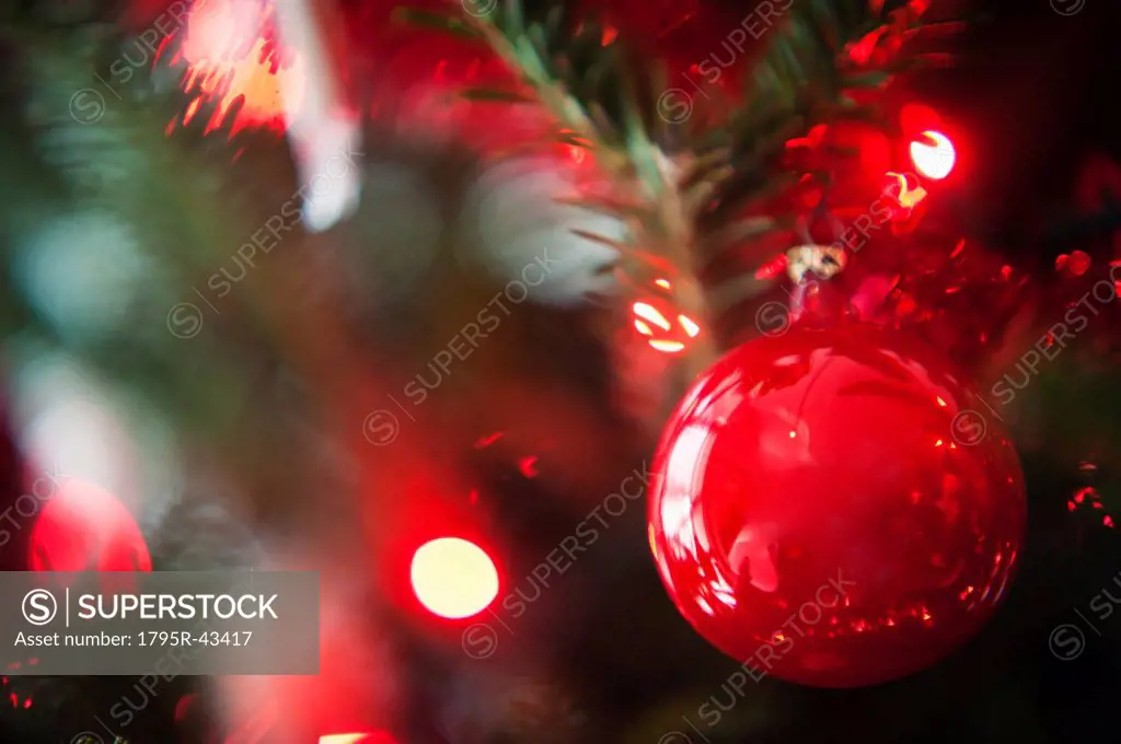 Christmas decoration hanging on Christmas tree, studio shot