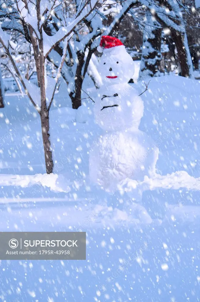 USA, New York, New York City, snowman in snowflakes
