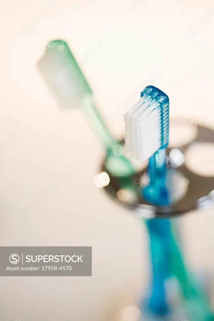Close-up of toothbrushes in holder