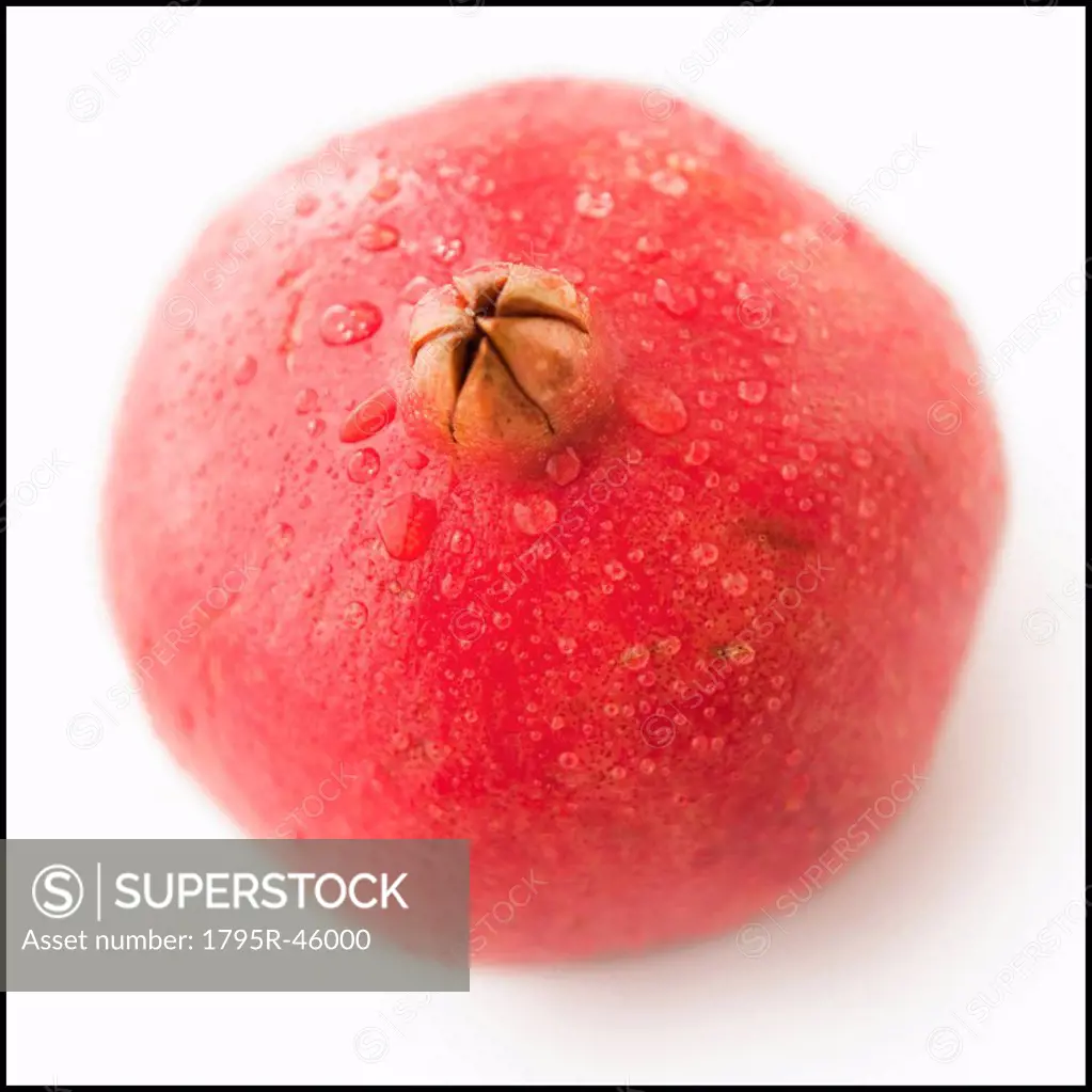 Studio Shot of pomegranate