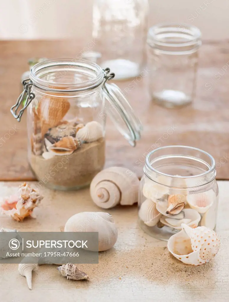 Jars of seashells