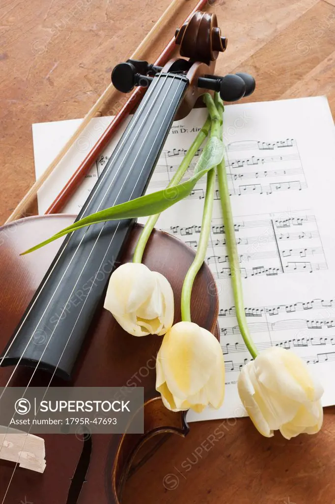 Violin and tulips on sheet music