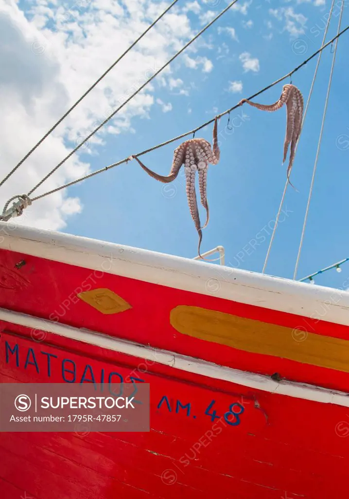 Greece, Cyclades Islands, Mykonos, Sun drying octopus on fishing boat