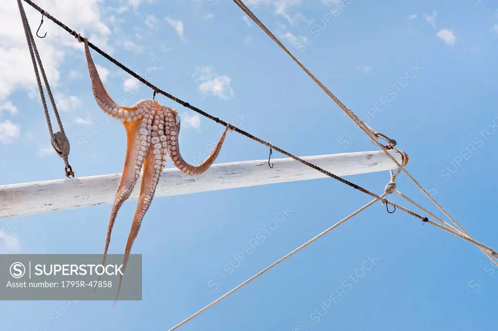 Greece, Cyclades Islands, Mykonos, Sun drying octopus on fishing boat