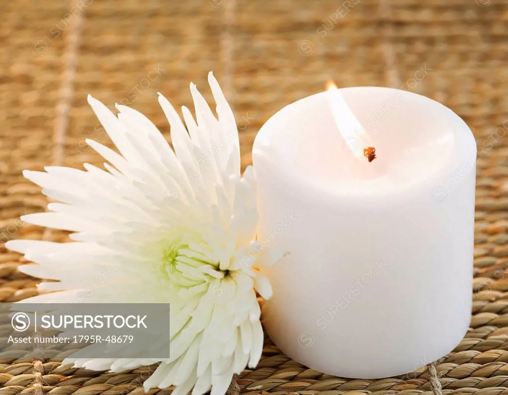 Candle and white aster
