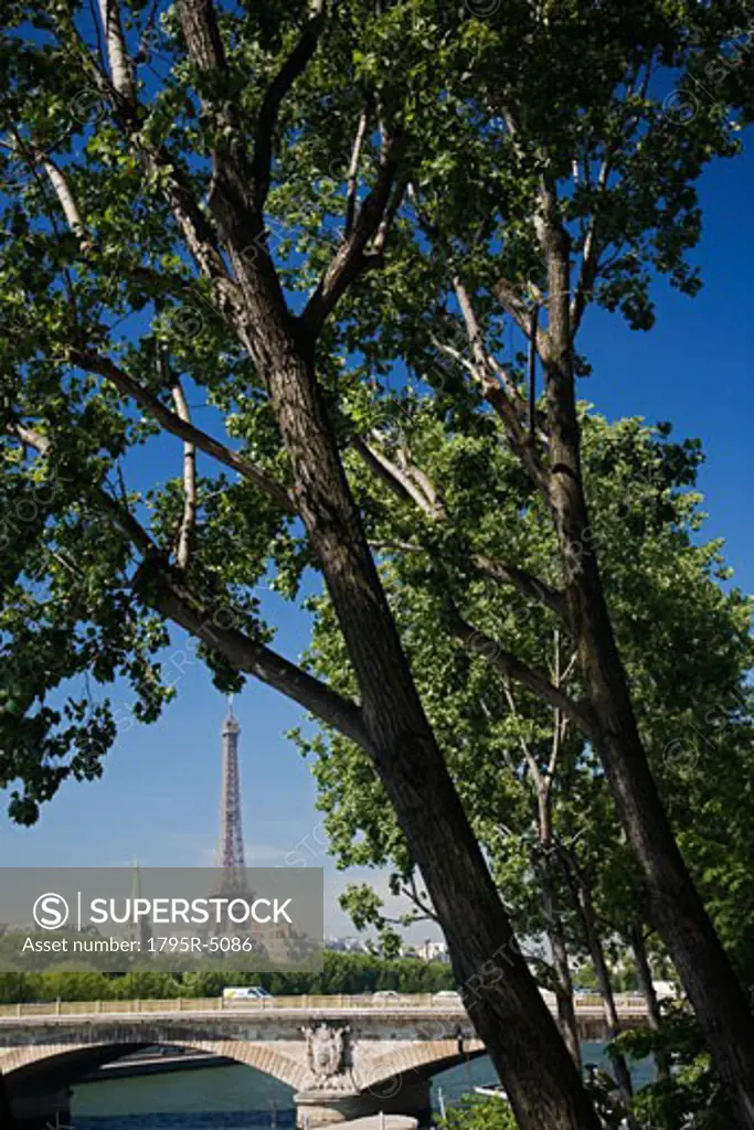 View through trees to Eiffel Tower