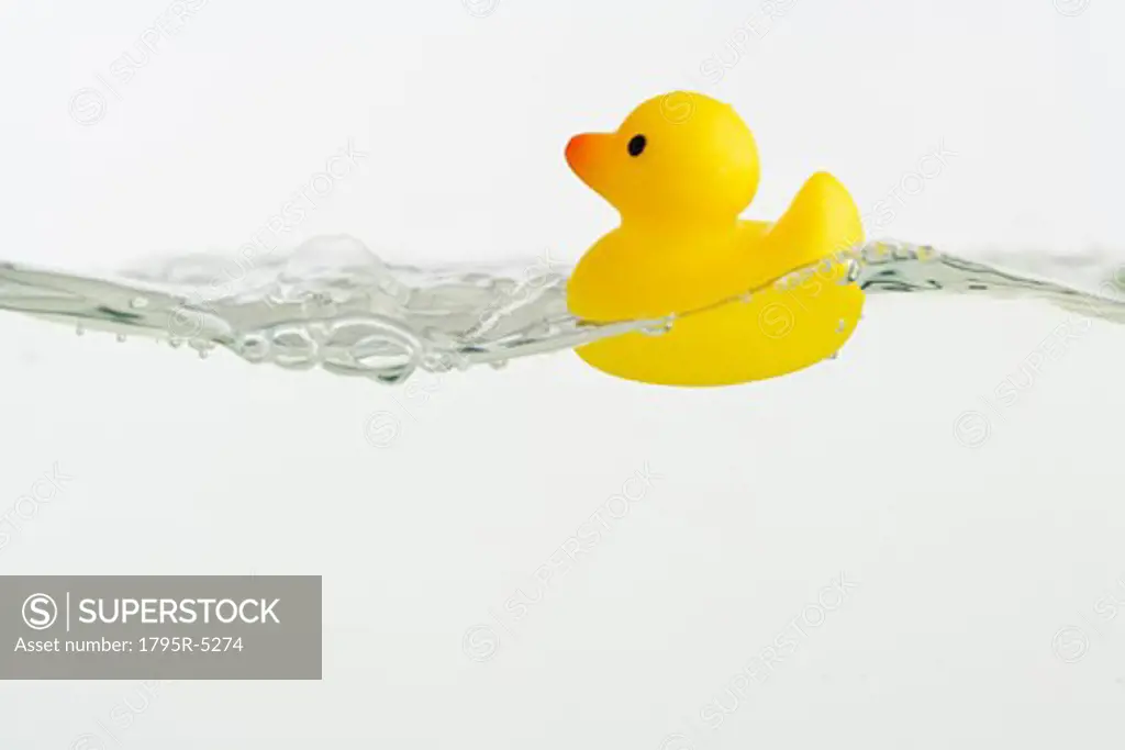 Rubber duck toy in water
