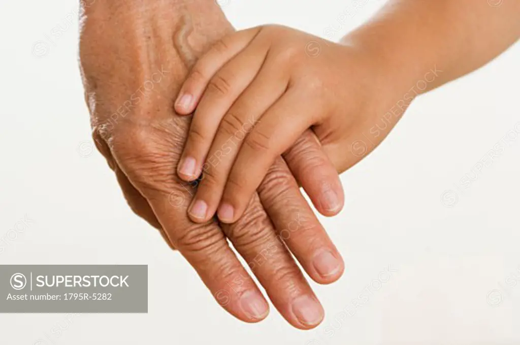 Close-up of child holding adults hand