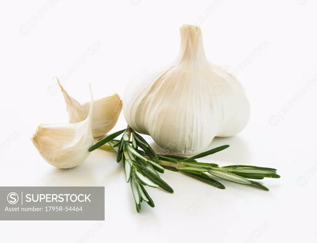 Studio shot of fresh garlic and rosemary