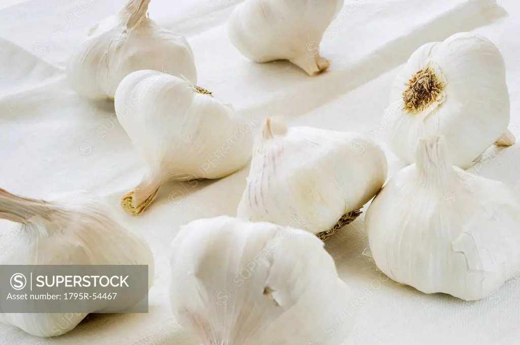Studio shot of fresh garlic