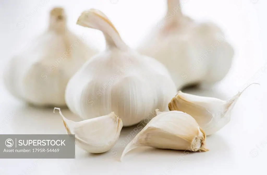 Studio shot of fresh garlic