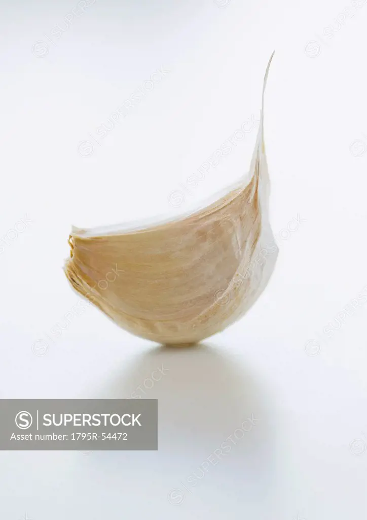 Studio shot of fresh garlic clove