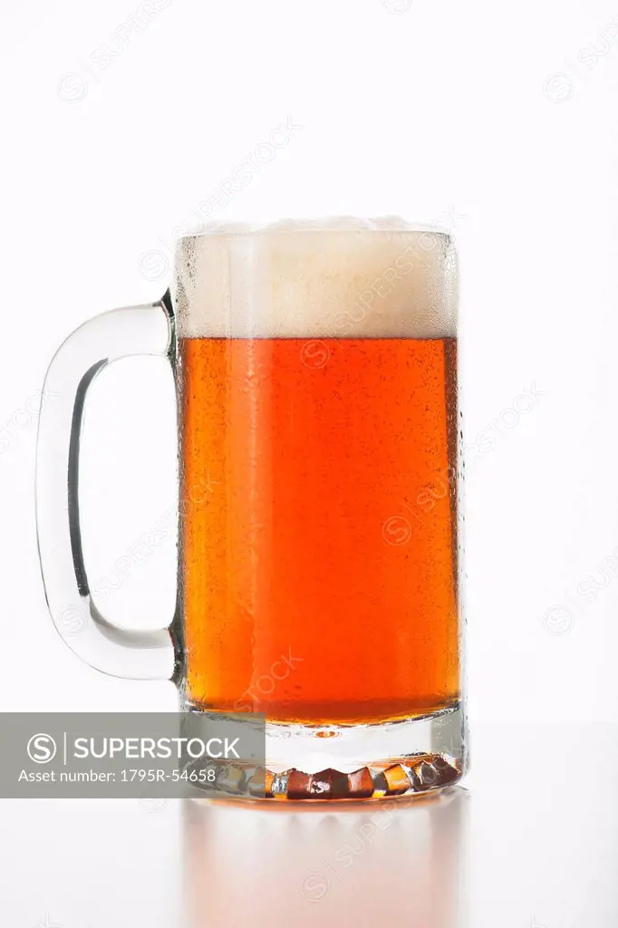 Studio shot of ale in beer glass