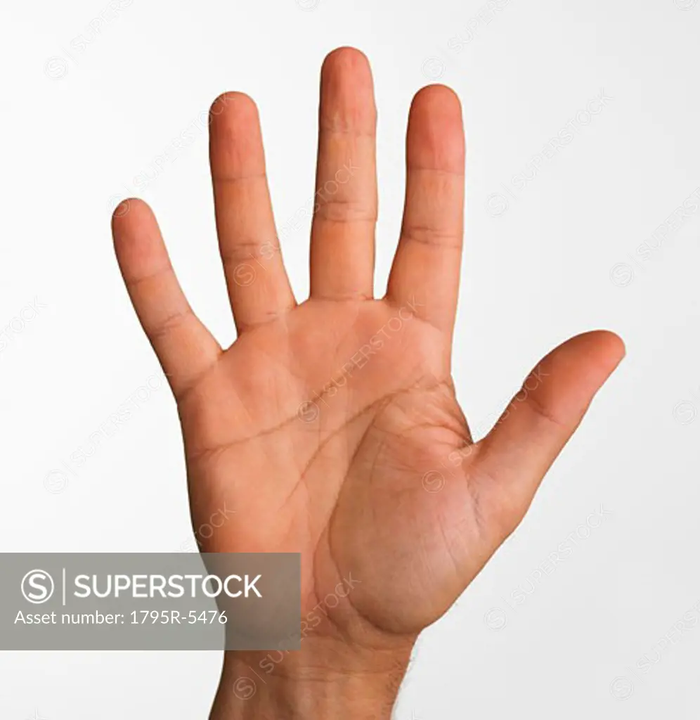 Close-up studio shot of palm side of man's hand