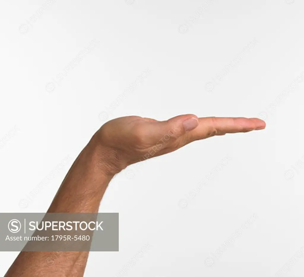 Studio shot of man's hand with palm up