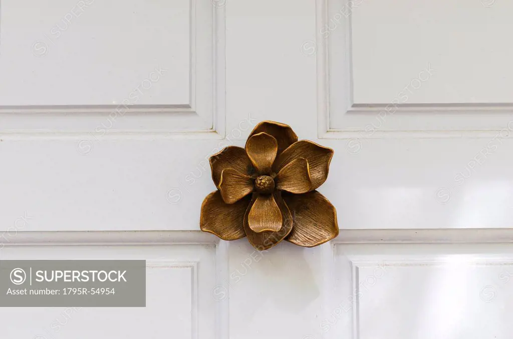 USA, South Carolina, Charleston, Close up of door knocker in shape of flower