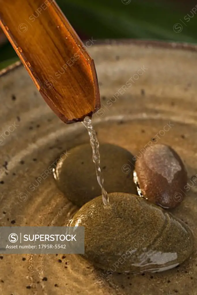 Water pouring out of plant stalk into bowl with stones
