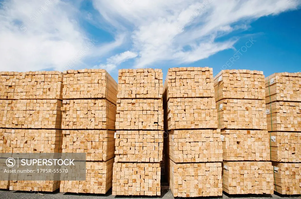 Orderly stacks of timber