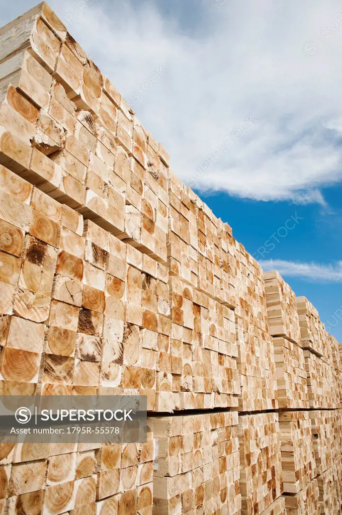 Orderly stack of timber