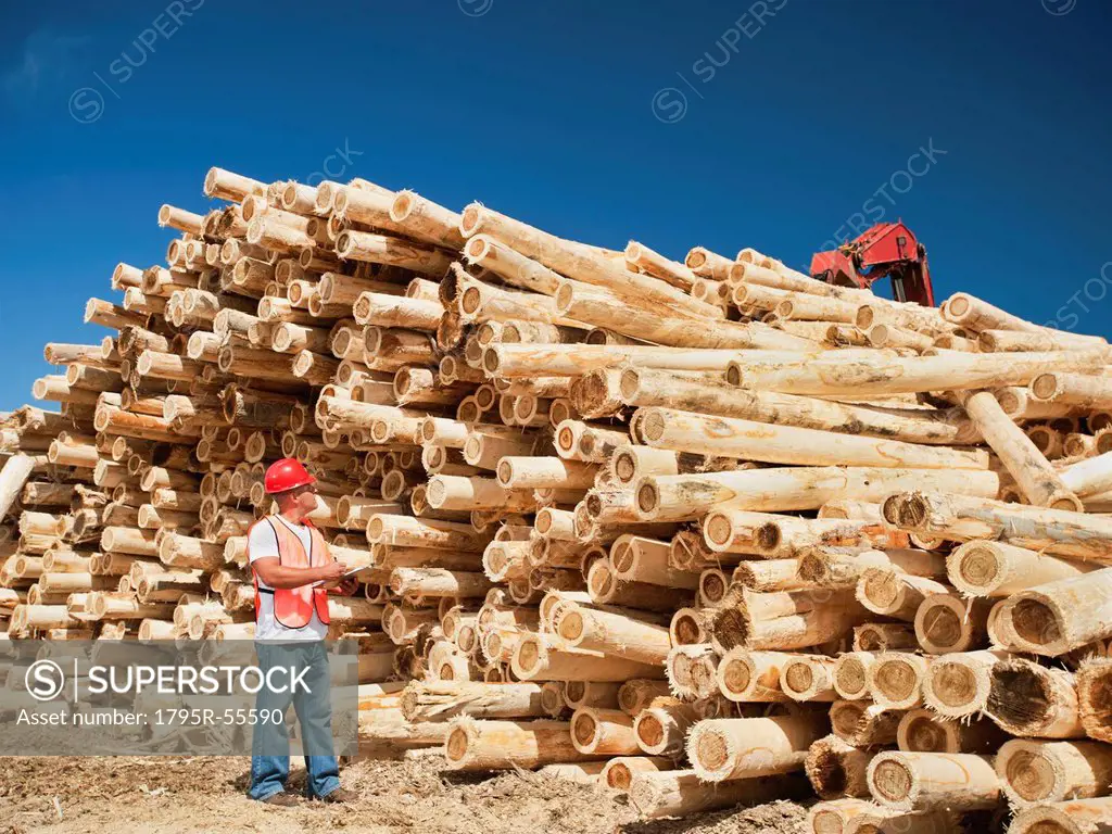 Engineer in front of stack of timber