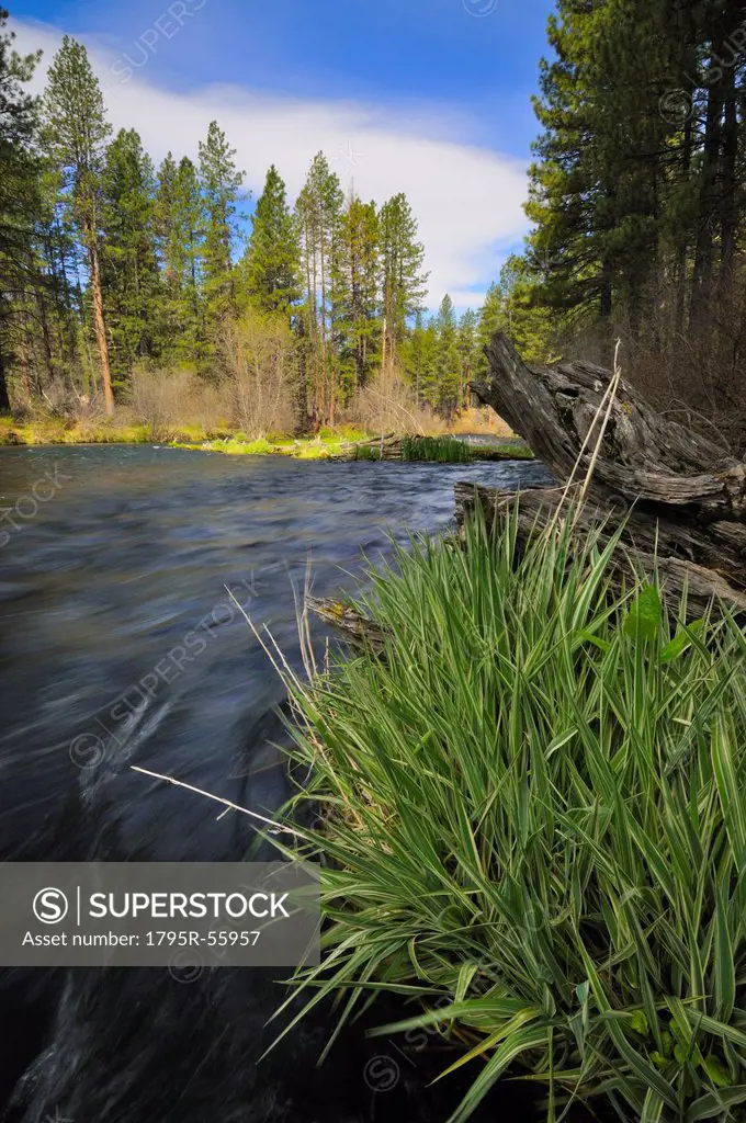 USA, Oregon, Deschutes County, Metolious River