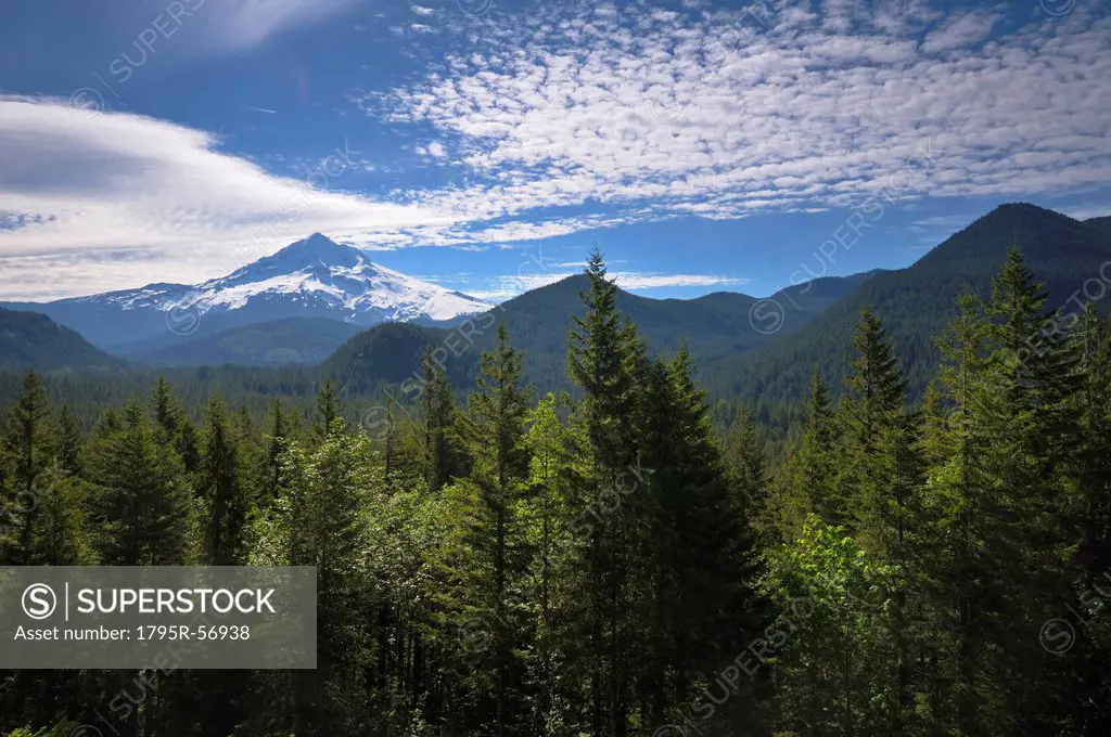 USA, Oregon, Multnomah County, Landscape with Mount Hood