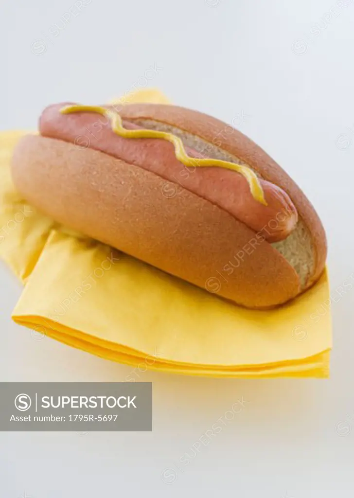 Close-up of hot dog in bun