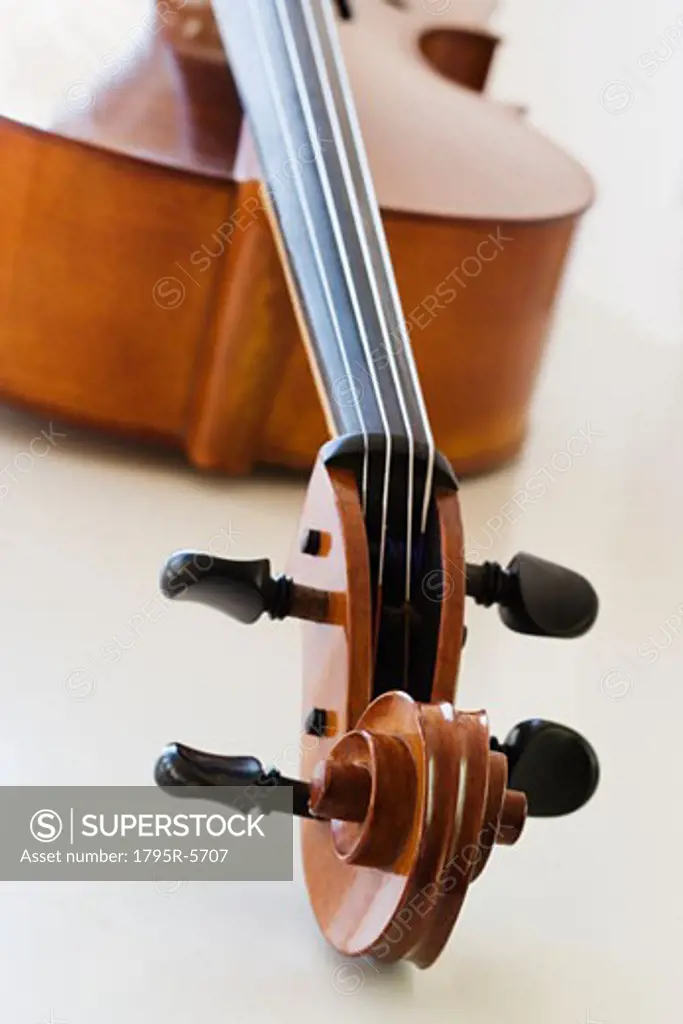 Close-up of cello head