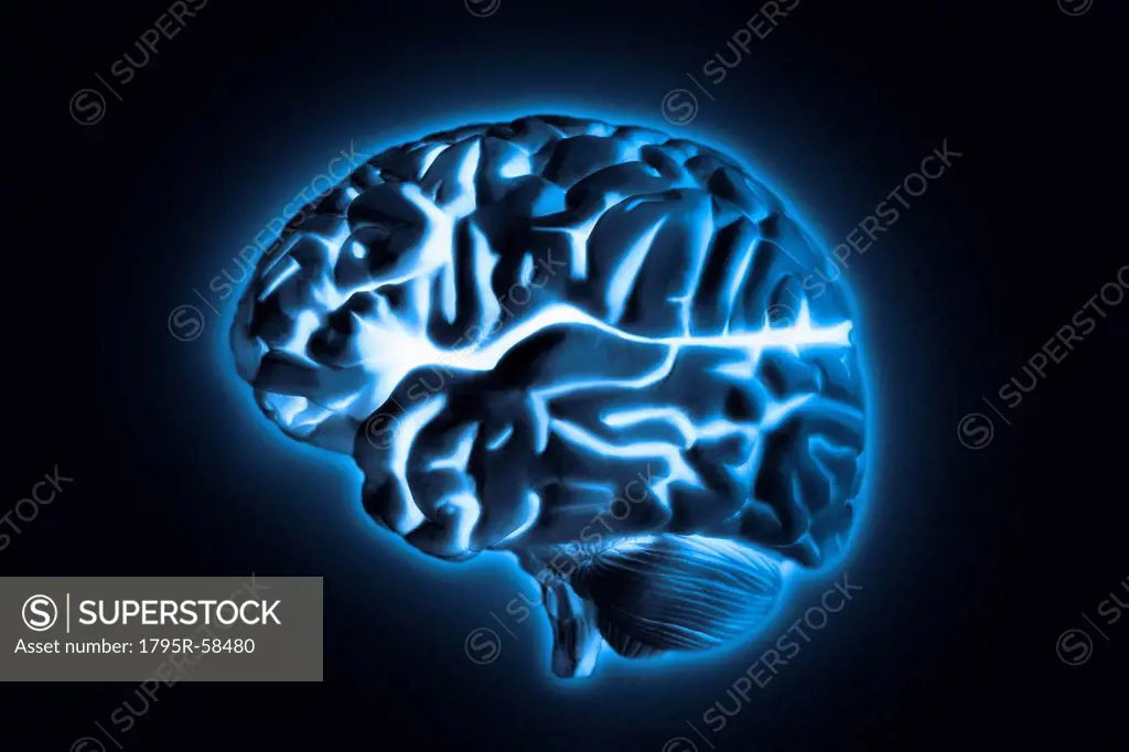Human brain model with blue glow, studio shot