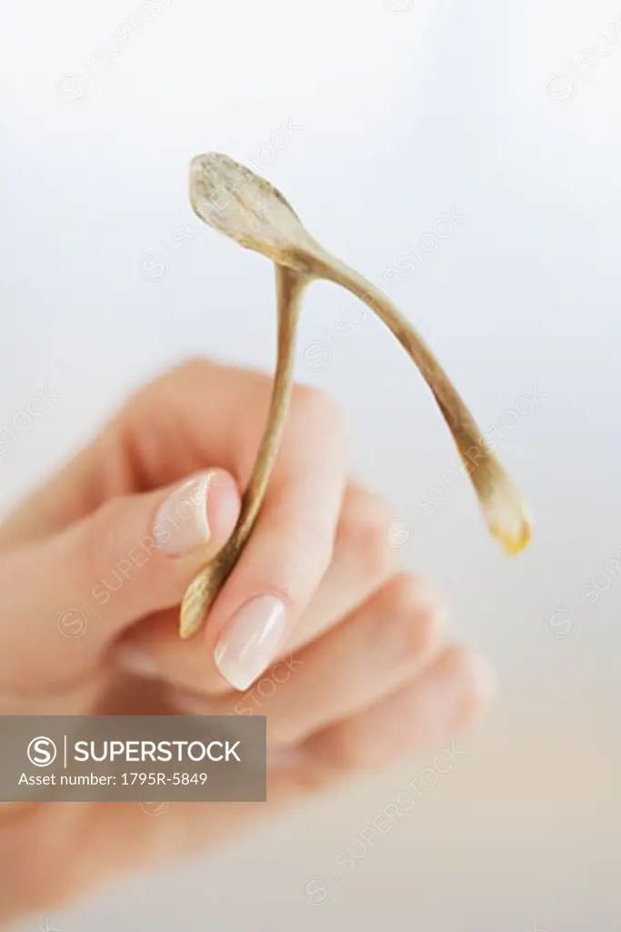 Close-up of woman holding wishbone