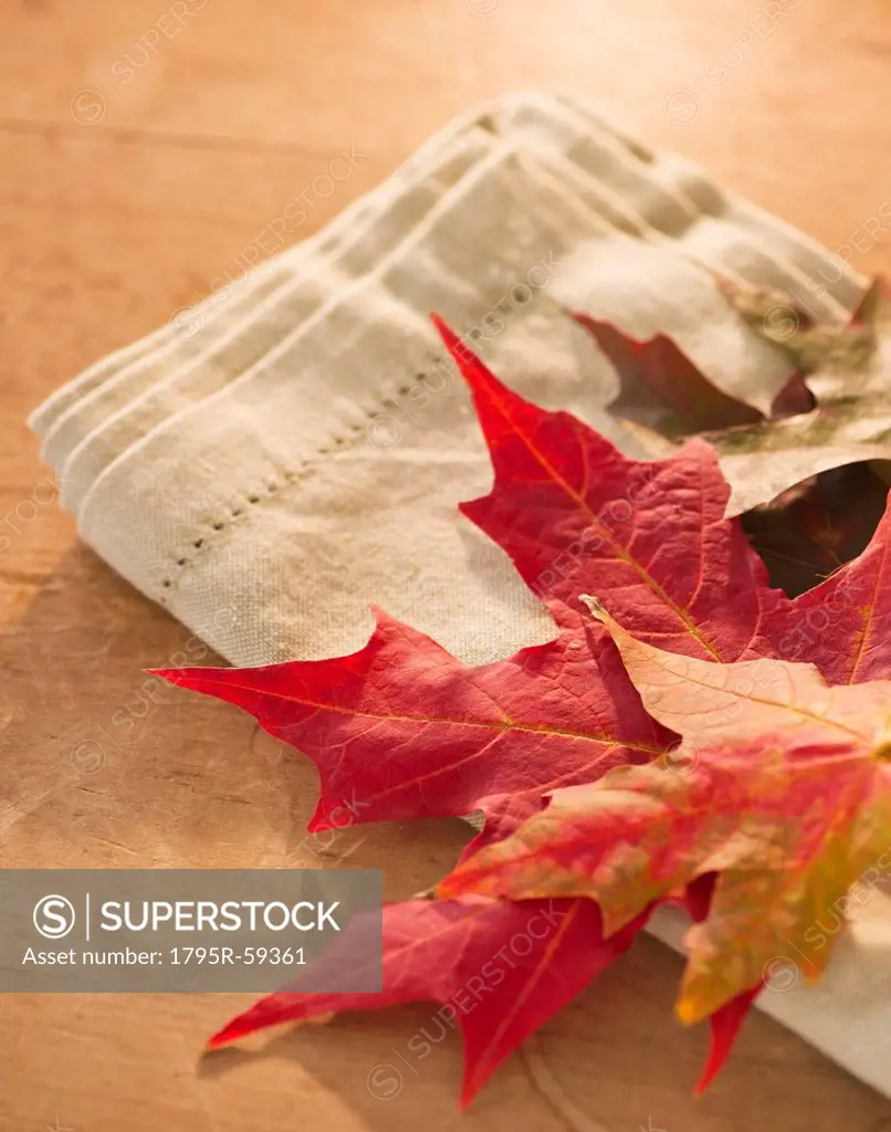 Colorful autumn leaves on napkin