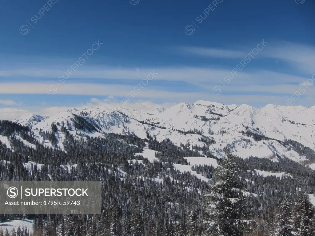 USA, Utah, Big Cottonwood Canyon, Winter landscape