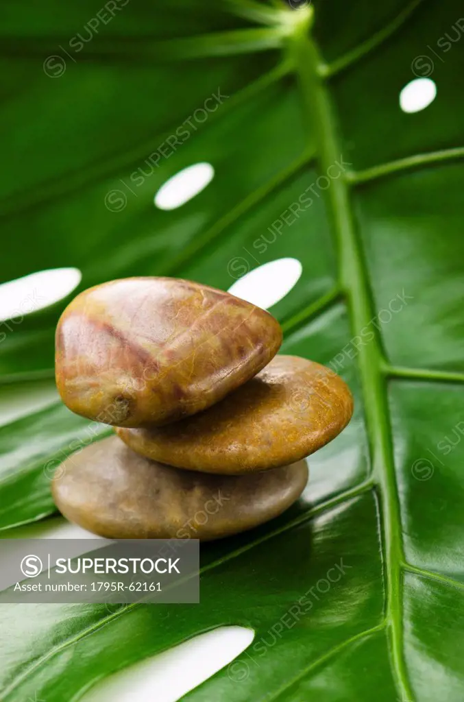 Spa stones on tropical leaf, studio shot