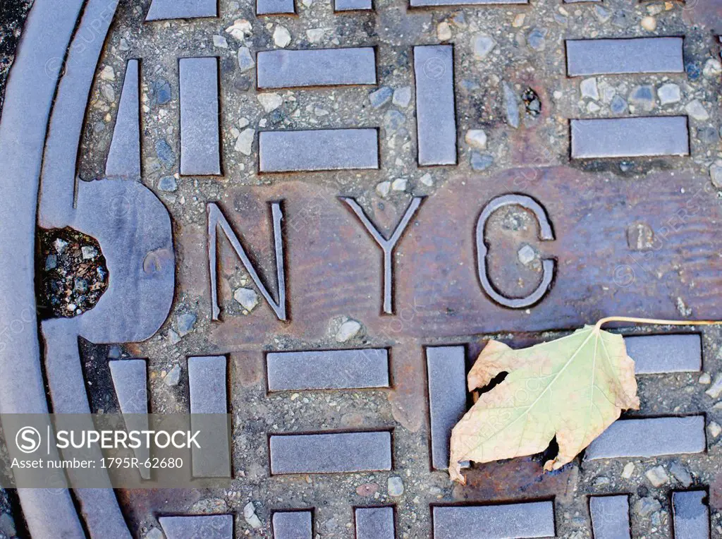 USA, New York State, New York City, Manhole and Fall leaf