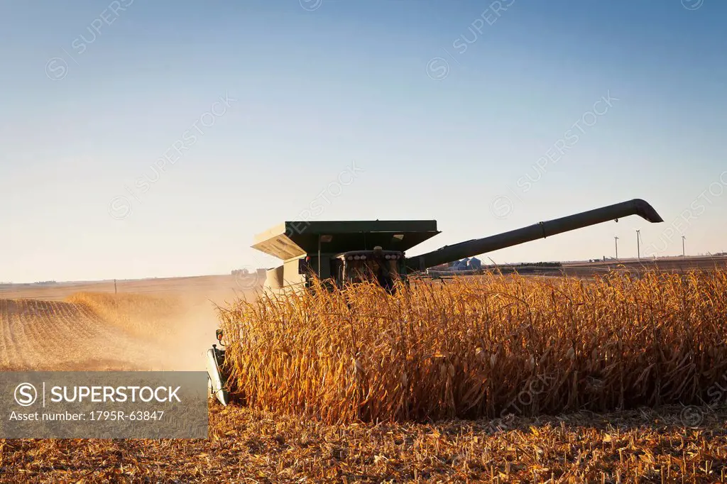 USA, Iowa, Latimer, Combine harvester harvesting corn