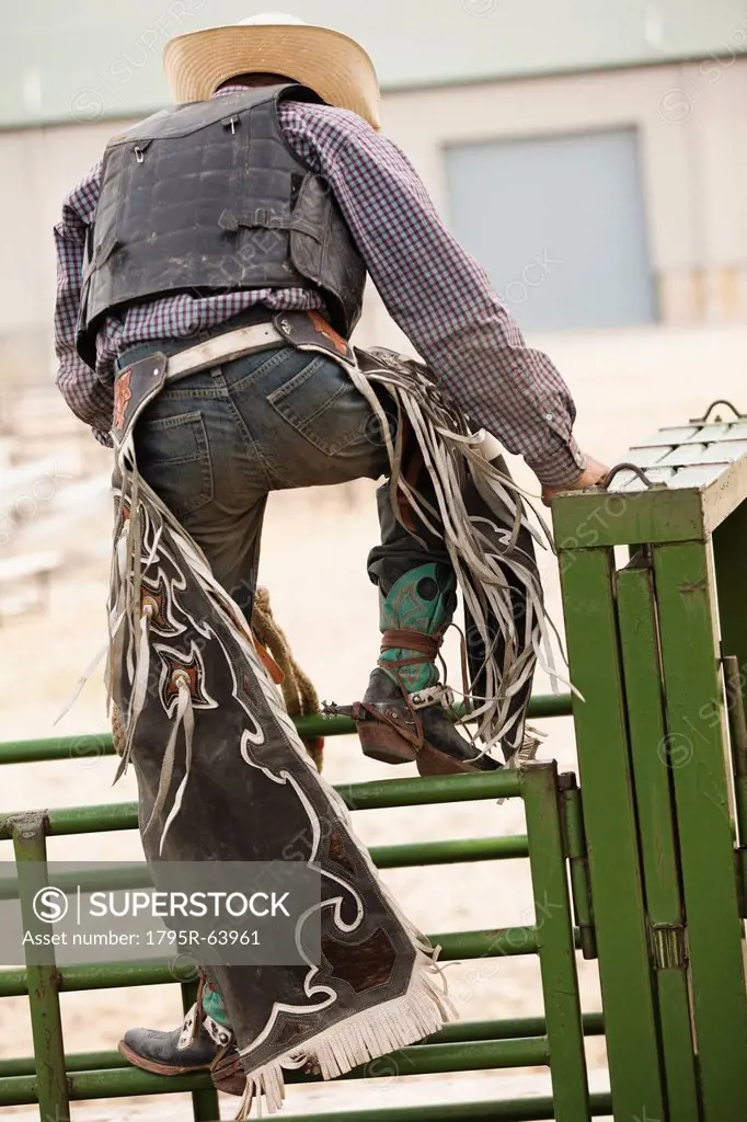Rodeo cowboy climbing on fence