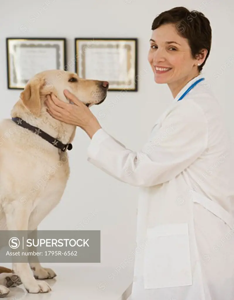 Female veterinarian examining in dog