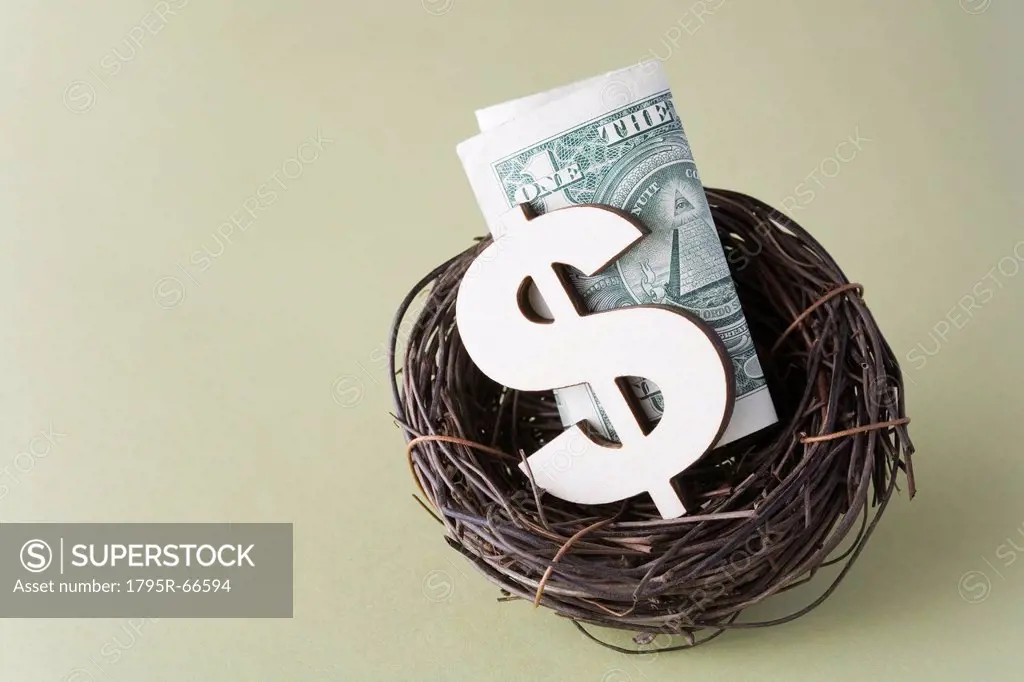 Studio shot of dollar symbol and banknote in bird´s nest