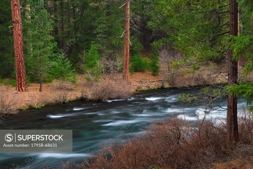 USA, Oregon, Deschutes County, River view