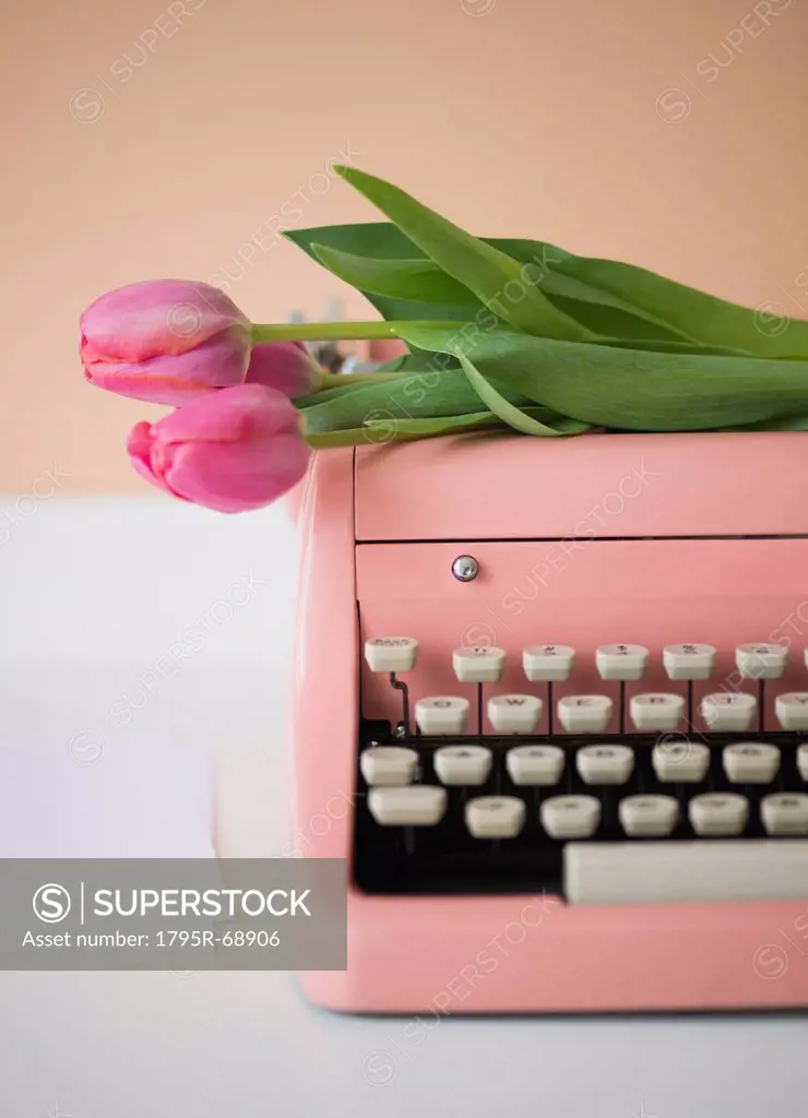 Pink typewriter and tulips