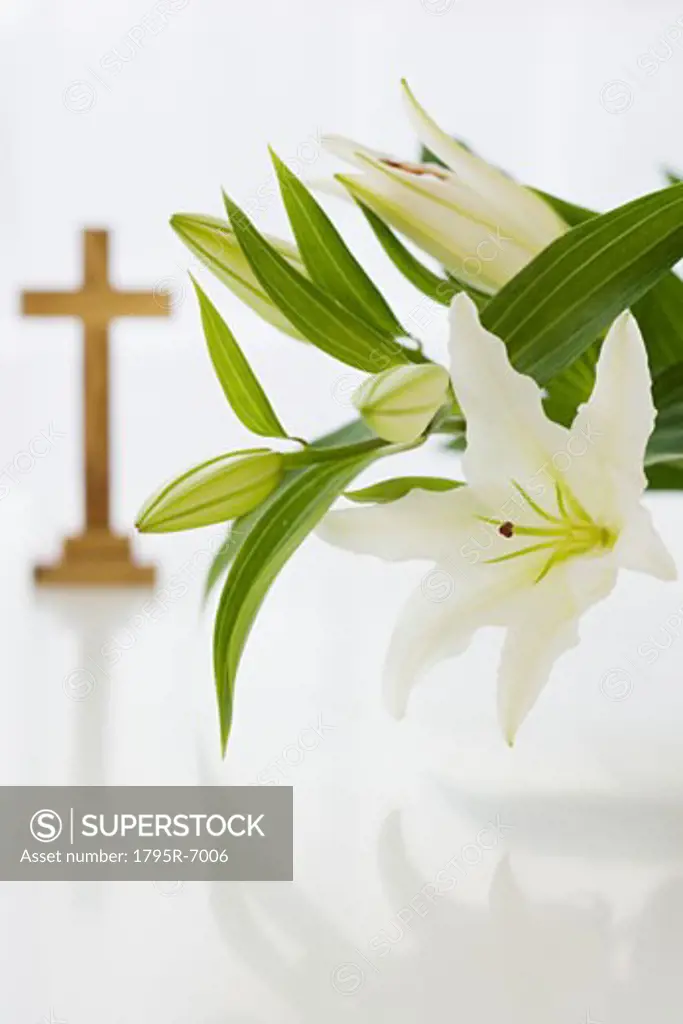 Close-up of flowers with cross in background