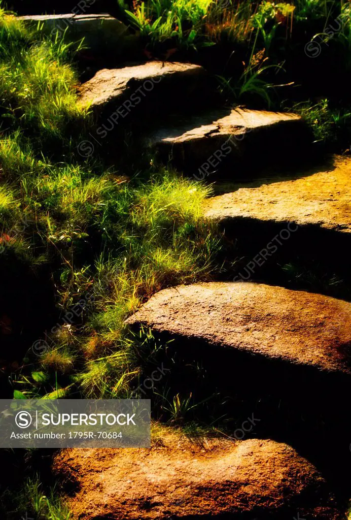 Stone steps in morning light