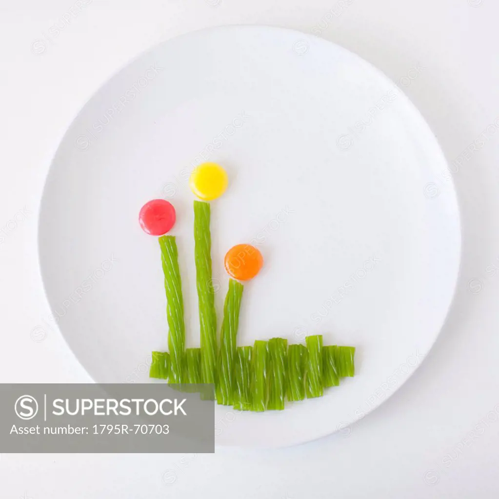 Flower on plate made out of jelly beans
