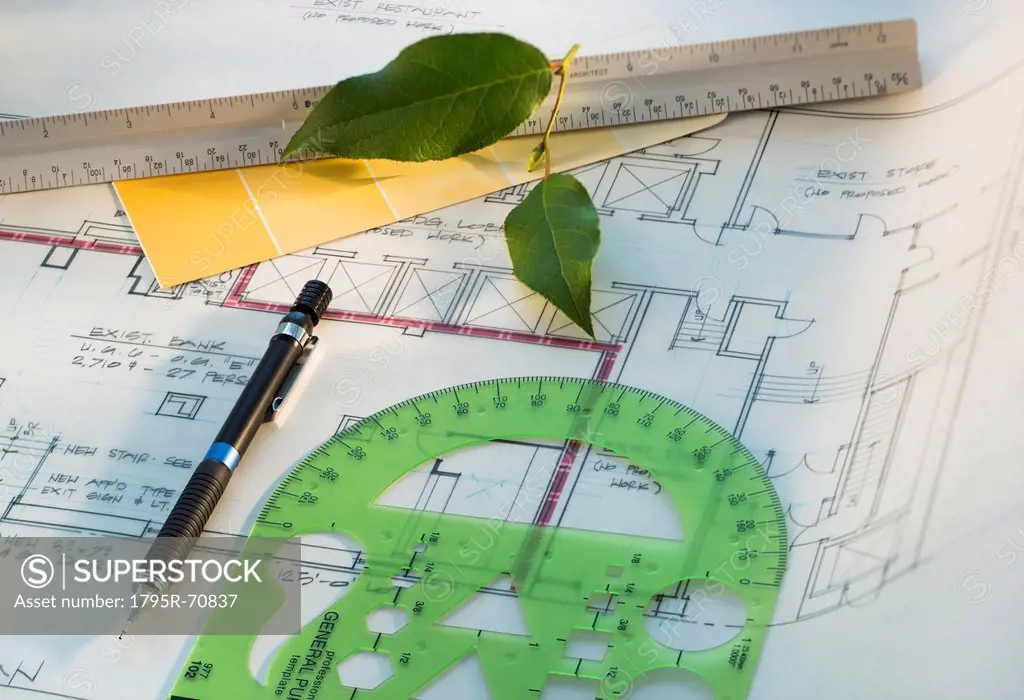Studio shot of blueprint, rulers and green leaf