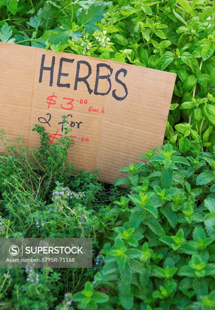 Herbs and price tag at market