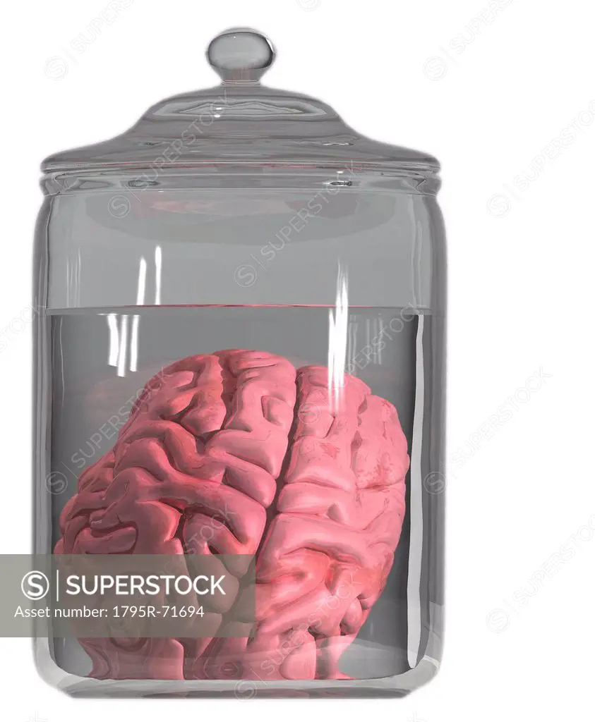 Studio shot of brain in decanter